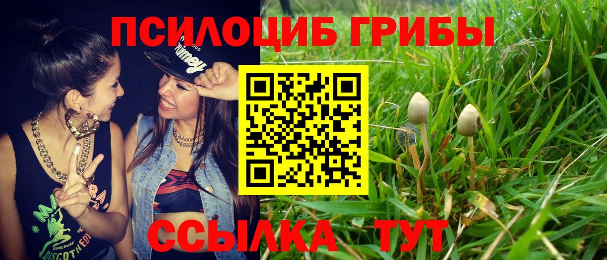 Галлюциногенные грибы мухоморы Ульяновск